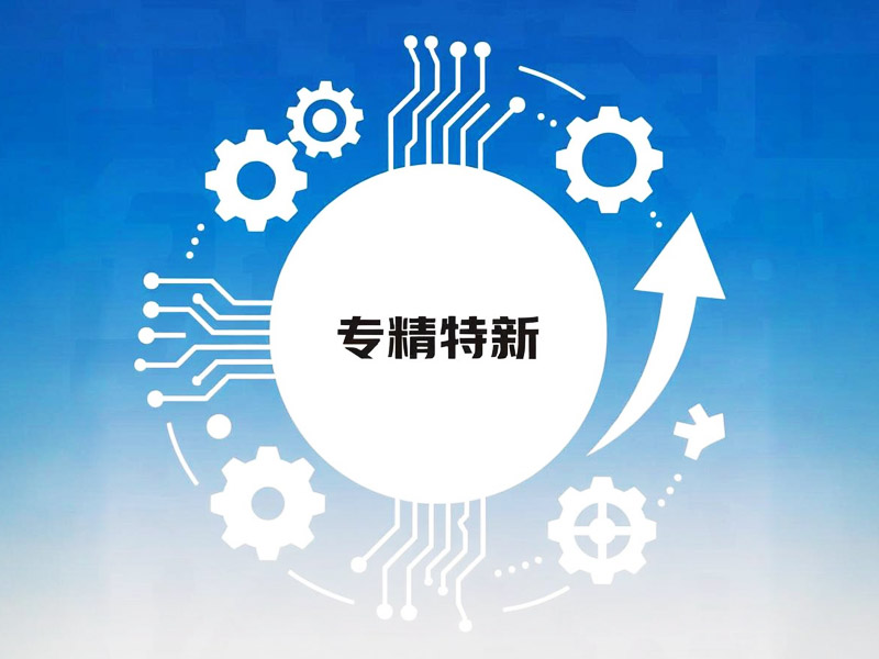 专精特新小巨人企业申请条件