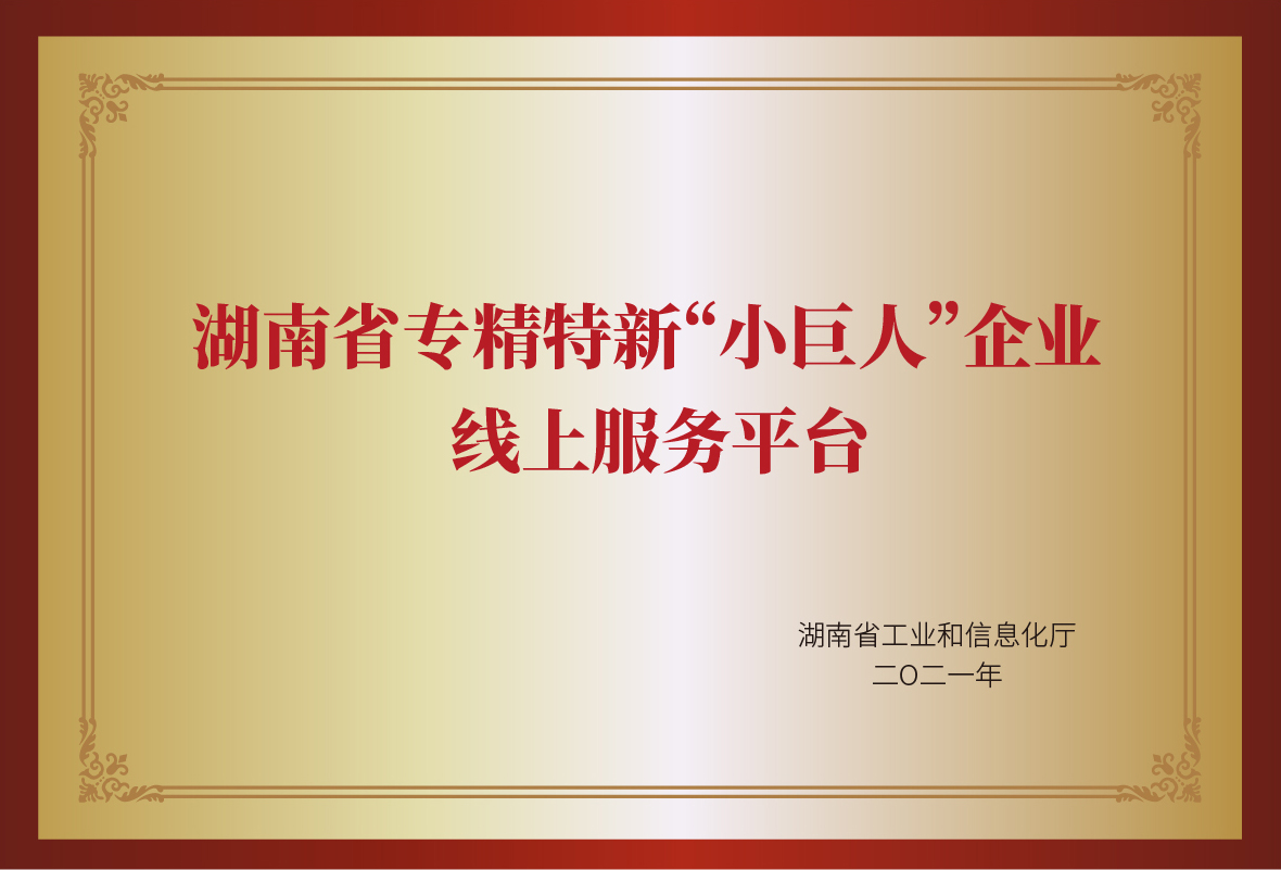 湖南省专精特新“小巨人”服务平台